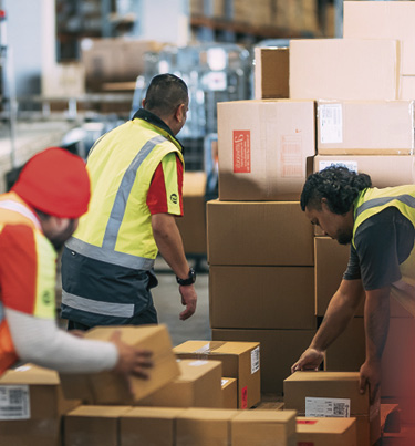 Couriers sorting parcels