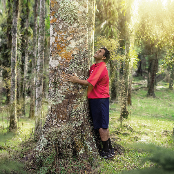 Man hugging a tree