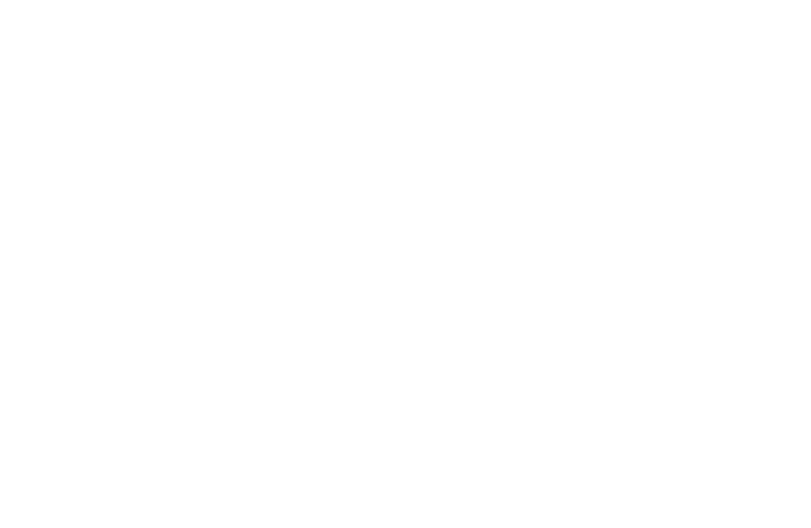 fast delivery icon