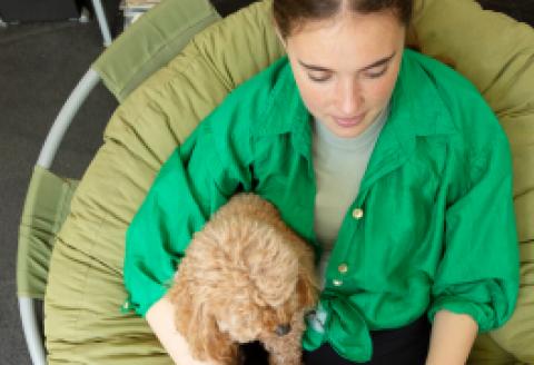 Girl looking at laptop