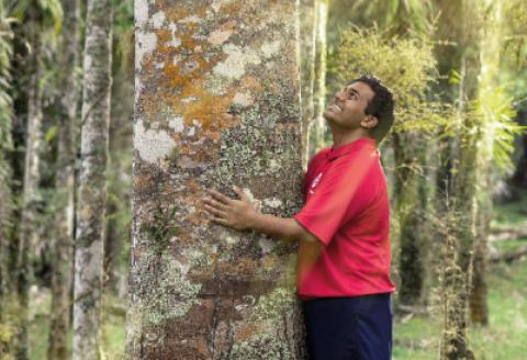 Man hugging a tree