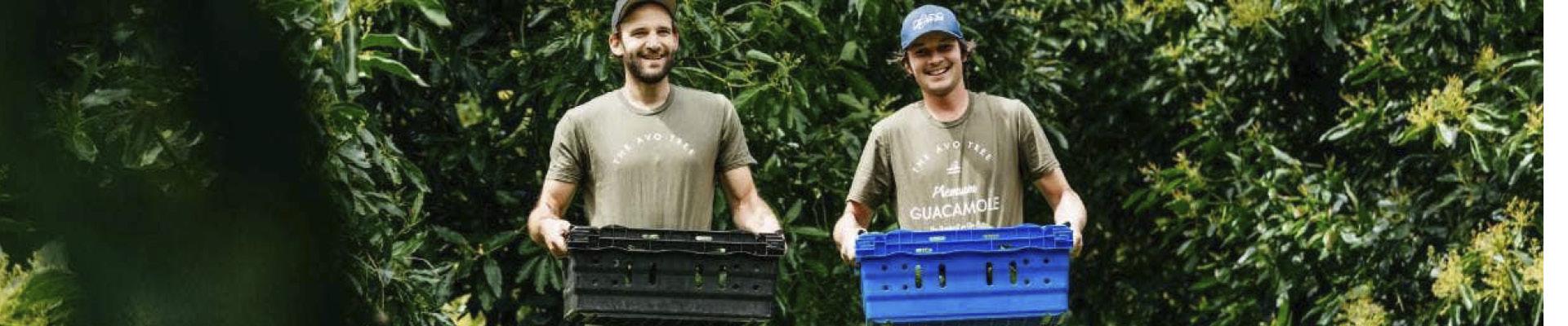 man and women carrying buckets of avocados